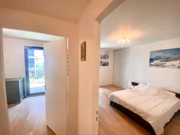 Sobnb Lumiere - Superbe Appartement Coeur Annemasse Eksteriør bilde